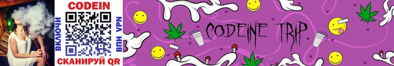 Кодеиновый сироп Lean Purple Drank  hydra ССЫЛКА  Камышлов  как найти закладки 