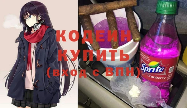 apvp Краснослободск