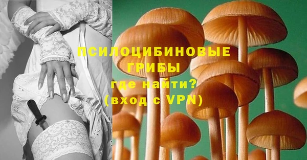 apvp Краснослободск