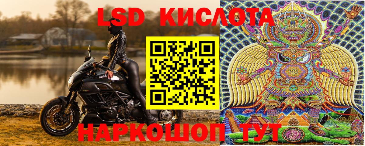 Марки N-bome  Наркотические марки 1500мкг  Камышлов  Вход с VPN  Наркотические марки 1500мкг 