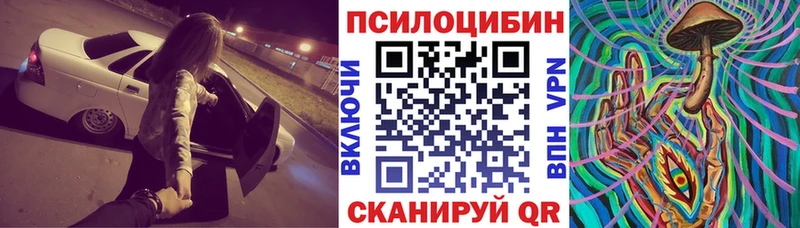 Псилоцибиновые грибы Cubensis  Камышлов 