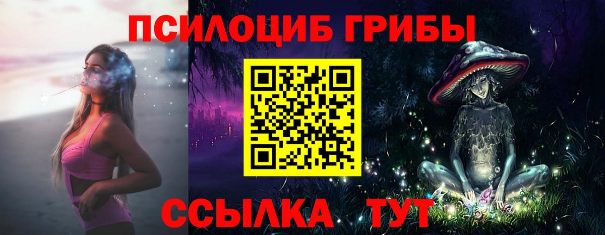 Псилоцибиновые грибы Magic Shrooms  Вход с VPN  Камышлов 